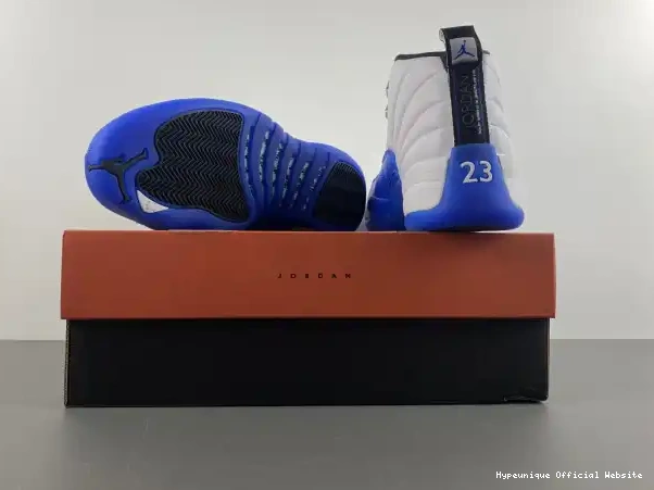 1:1 HYPE Air Blueberry Jordan 12 CT8013-140 0208