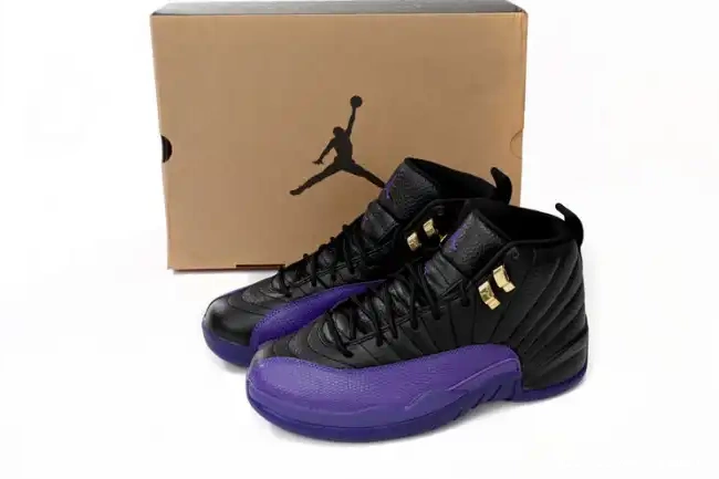 Cheap reps HYPE CT8013-057 Jordan Purple Air 12 Retro Field 0208