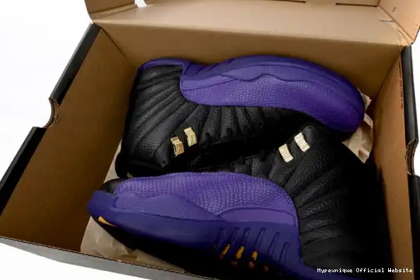 Cheap reps HYPE CT8013-057 Jordan Purple Air 12 Retro Field 0208