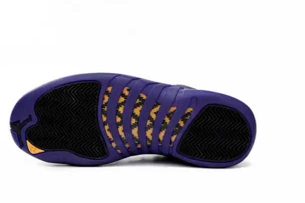 Cheap reps HYPE CT8013-057 Jordan Purple Air 12 Retro Field 0208