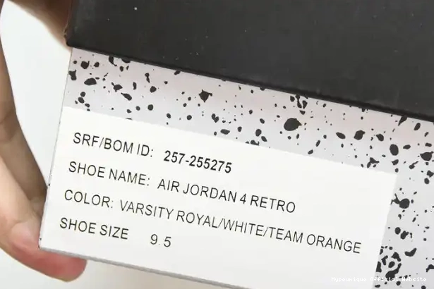 HYPE Retro Ducks Duckman Oregon 257-255275 Jordan 4 0318