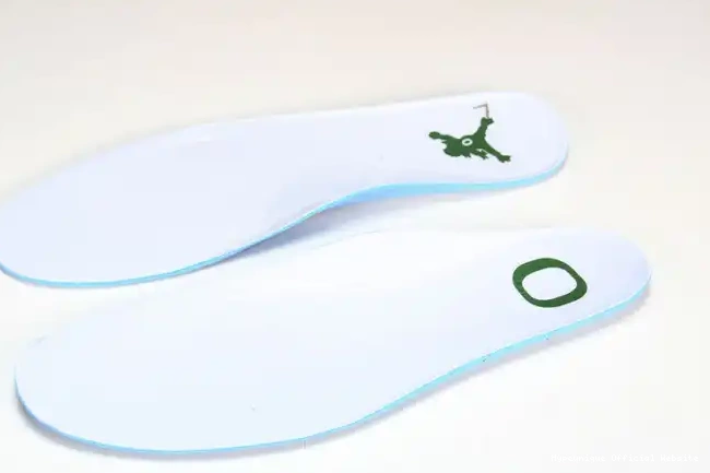 HYPE Retro Ducks Duckman Oregon 257-255275 Jordan 4 0318